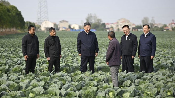 Xi inspects central China's Hubei Province