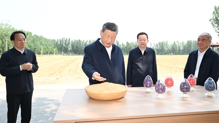 Xi calls for solid measures to modernize agriculture, rural areas